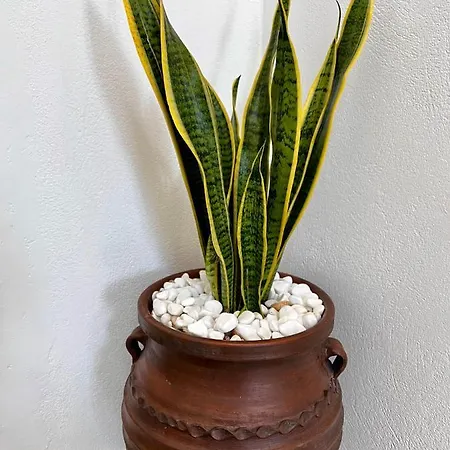 Ferienhaus Petra Heritage And Hospitality Apérathos