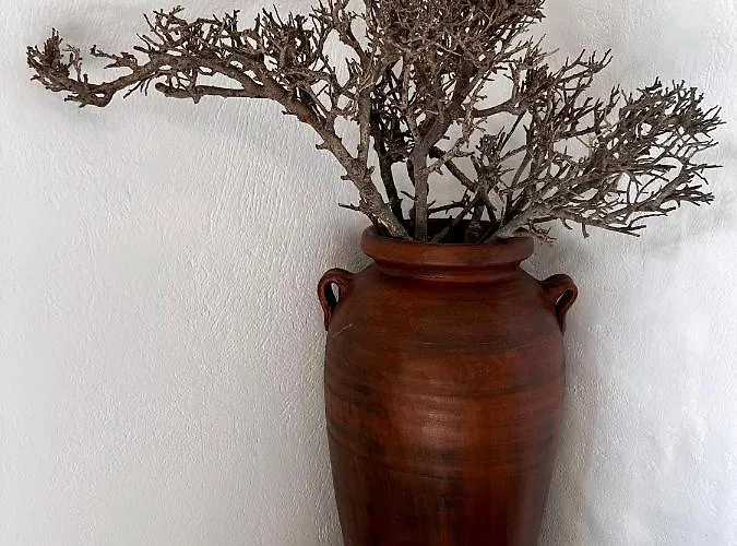 Petra Heritage And Hospitality * Aperathos