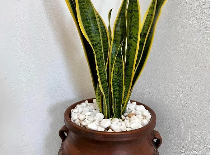 Holiday home Petra Heritage And Hospitality Aperathos